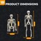 4 Pcs Halloween Skeleton 16" Posable Skeleton Decor, Full Body Posable Joints Halloween Outdoor Skeletons, Halloween Skeletons Decorations Outdoor Indoor, Plastic Hanging Skeleton Decorations